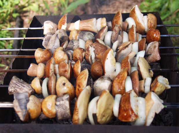 Приготовление шашлыка из белых грибов