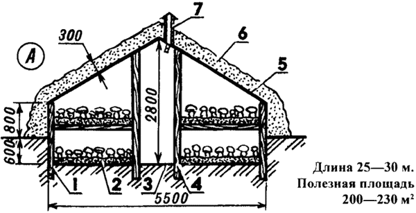 Шампиньонная теплица двухъярусная