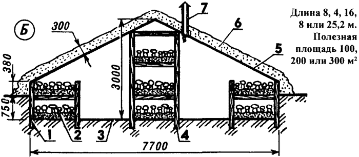 Шампиньонная фланочная теплица Грачева